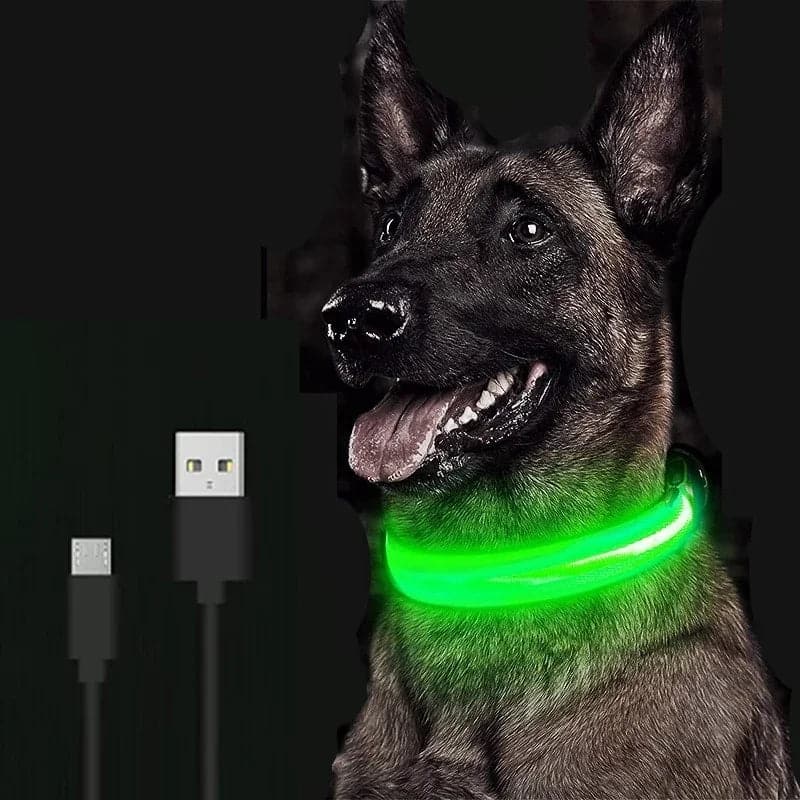 LED Glowing Dog Collar Rechargeable Luminous Collar Adjustable large Dog Night Light Pet Safety Collar for Small Dogs Cat - Boutique Beauté Santé 