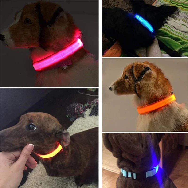 LED Glowing Dog Collar Rechargeable Luminous Collar Adjustable large Dog Night Light Pet Safety Collar for Small Dogs Cat - Boutique Beauté Santé 